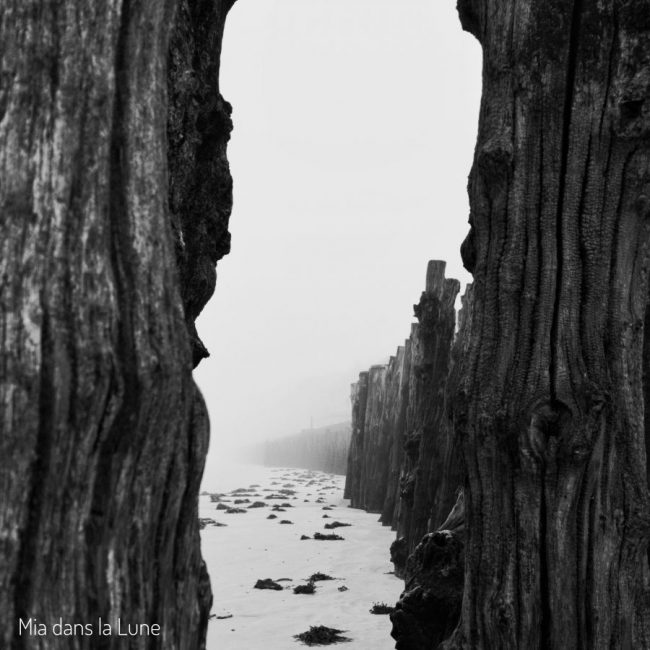 mia_dans_la_lune_brises_lames_brume