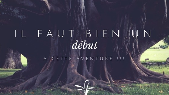 mia_dans_la-Lune-banniere_blog_bienvenue mia_dans_la-Lune-banniere_blog_bienvenue